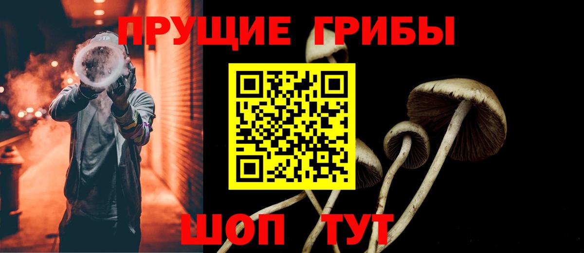 Псилоцибиновые грибы мицелий  Вход с VPN  Усть-Джегута 